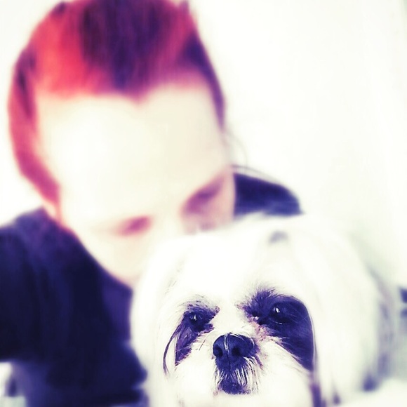 Meet your Posher, Xander - Picture 2 of 6